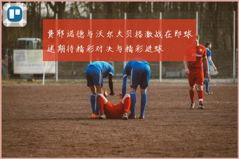 费耶诺德与沃尔夫贝格激战在即球迷期待精彩对决与精彩进球