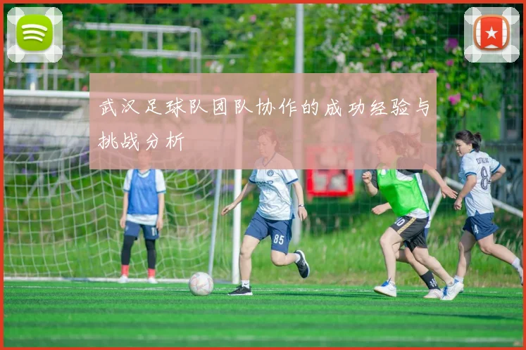 武汉足球队团队协作的成功经验与挑战分析