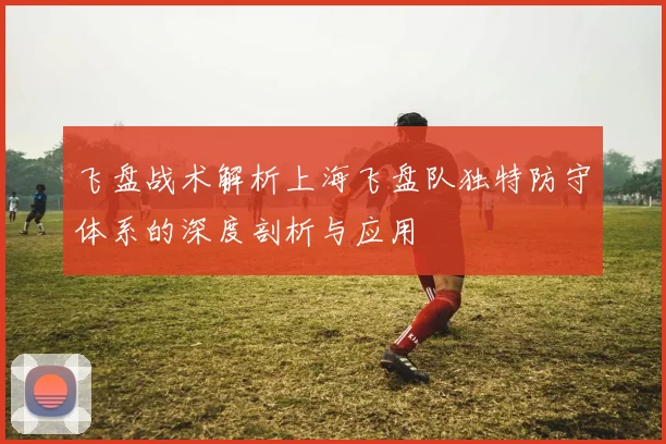 飞盘战术解析上海飞盘队独特防守体系的深度剖析与应用